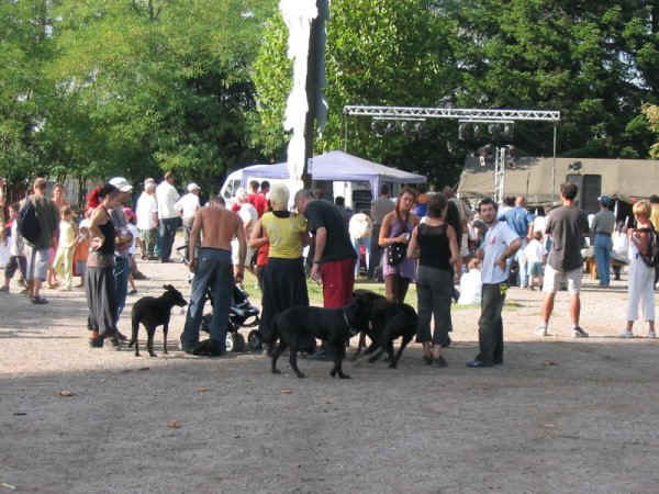 dans-village.jpg (94831 octets)